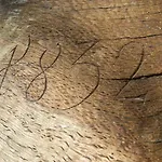 Domacija Seruga Countryside