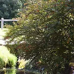 Domacija Seruga Countryside Novo Mesto