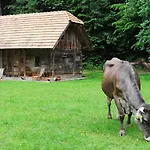 Domacija Seruga Countryside Vendégház