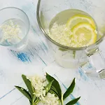 Domacija Seruga Countryside