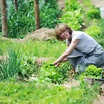Domacija Seruga Countryside Novo Mesto