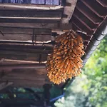 Domacija Seruga Countryside Novo Mesto