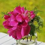 Vendégház Domacija Seruga Countryside 4*