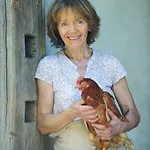 Domacija Seruga Countryside