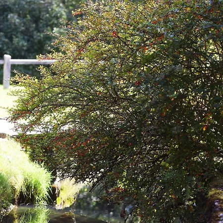 Domacija Seruga Countryside Novo Mesto