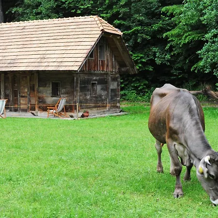Domacija Seruga Countryside Pensión