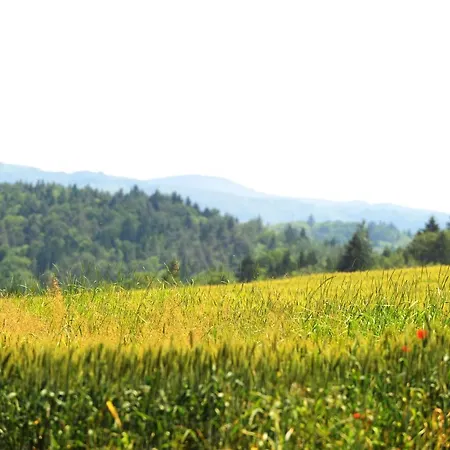 Domacija Seruga Countryside Gostinjska kuća 4*