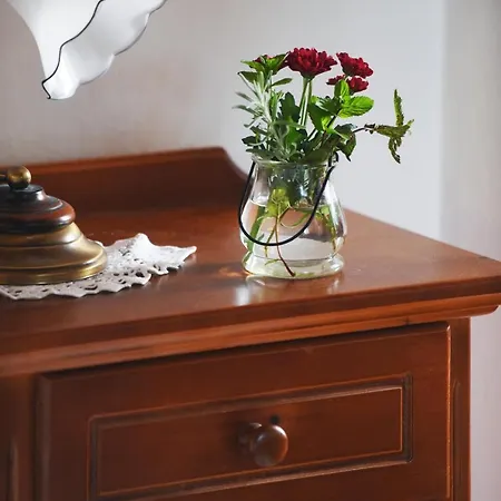 Domacija Seruga Countryside