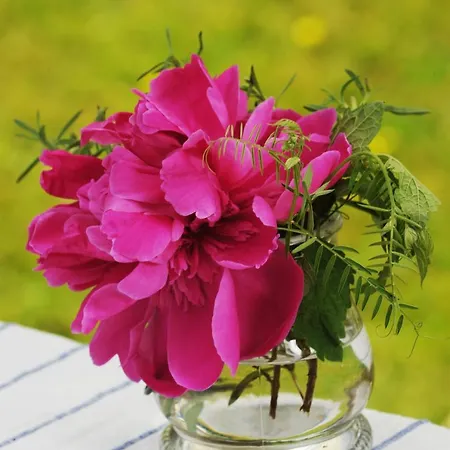 Pensión Domacija Seruga Countryside 4*