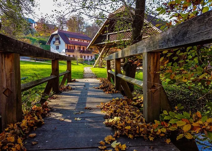 Domacija Seruga Countryside Affittacamere Novo Mesto