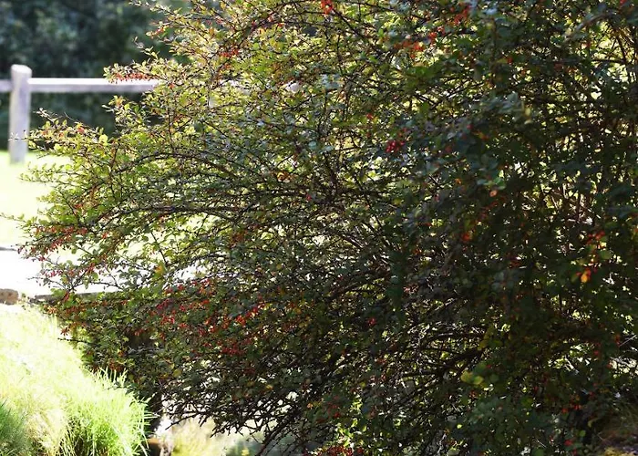 Domacija Seruga Countryside Novo Mesto