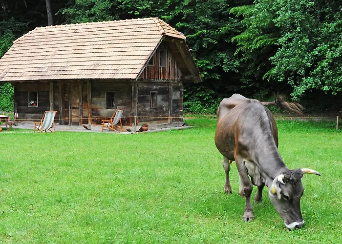 Domacija Seruga Countryside Affittacamere
