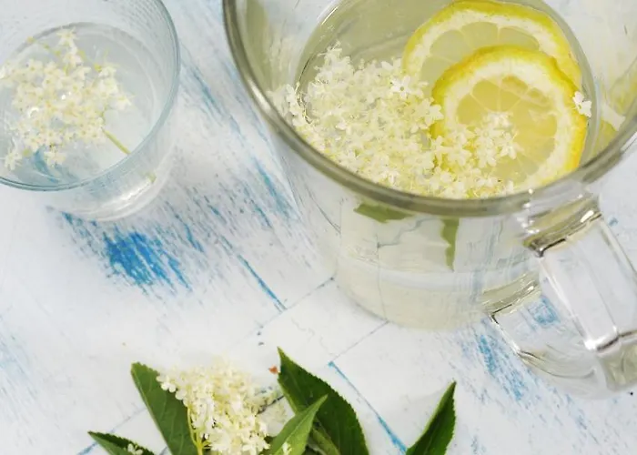 Domacija Seruga Countryside