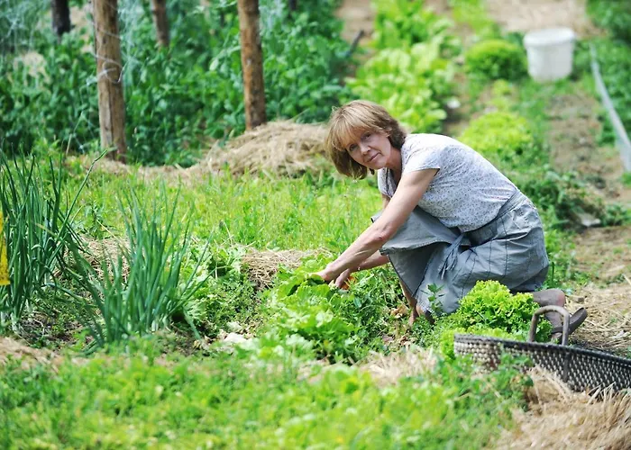 Domacija Seruga Countryside Novo Mesto