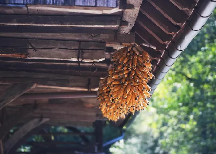 Domacija Seruga Countryside Novo Mesto