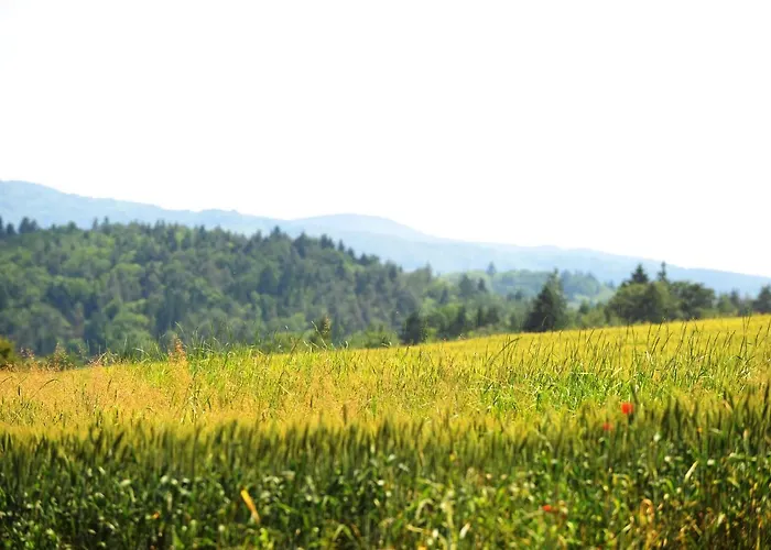 Domacija Seruga Countryside Gasthuis 4*