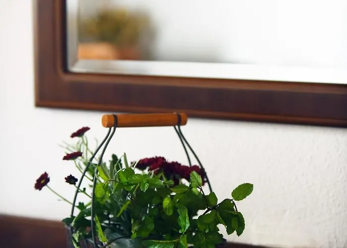 Domacija Seruga Countryside 4* Novo Mesto