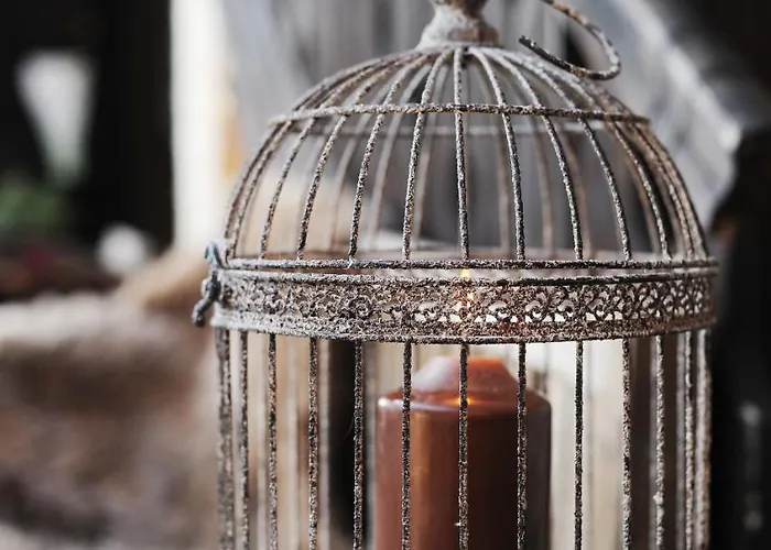 Domacija Seruga Countryside