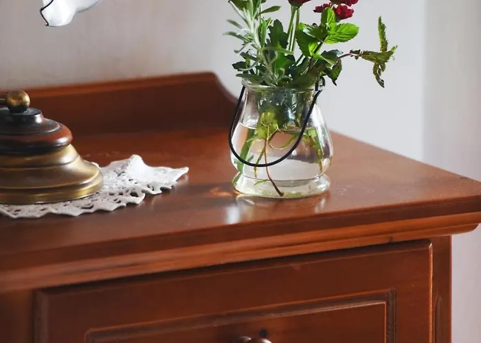 Domacija Seruga Countryside