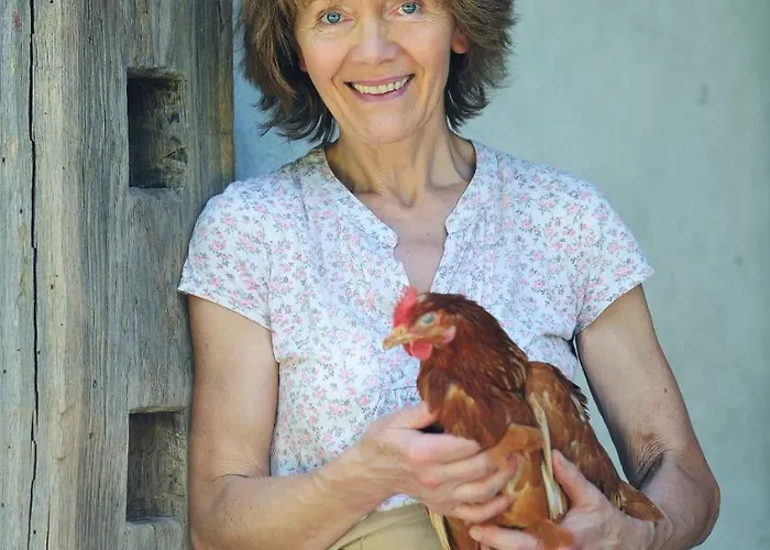 Domacija Seruga Countryside